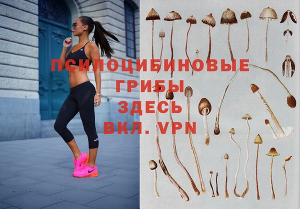 первитин Алексеевка