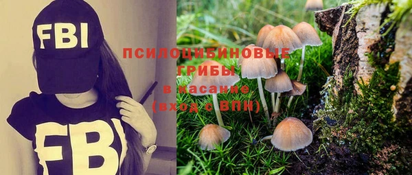 первитин Алексеевка