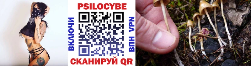 даркнет сайт  Лянтор  Галлюциногенные грибы Psilocybe 